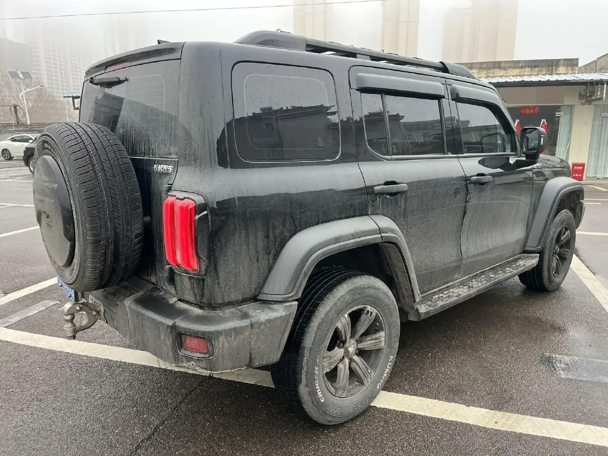 2021 Tank 300 2.0T 227HP L4 8AT,autocango,china used car exporter,china ev exporter,chinese used car exporter,chinese used ev exporter