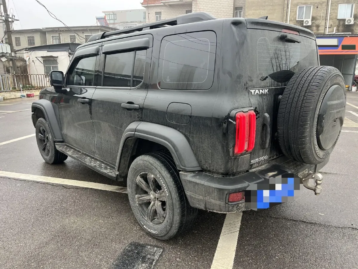 2021 Tank 300 2.0T 227HP L4 8AT,autocango,china used car exporter,china ev exporter,chinese used car exporter,chinese used ev exporter