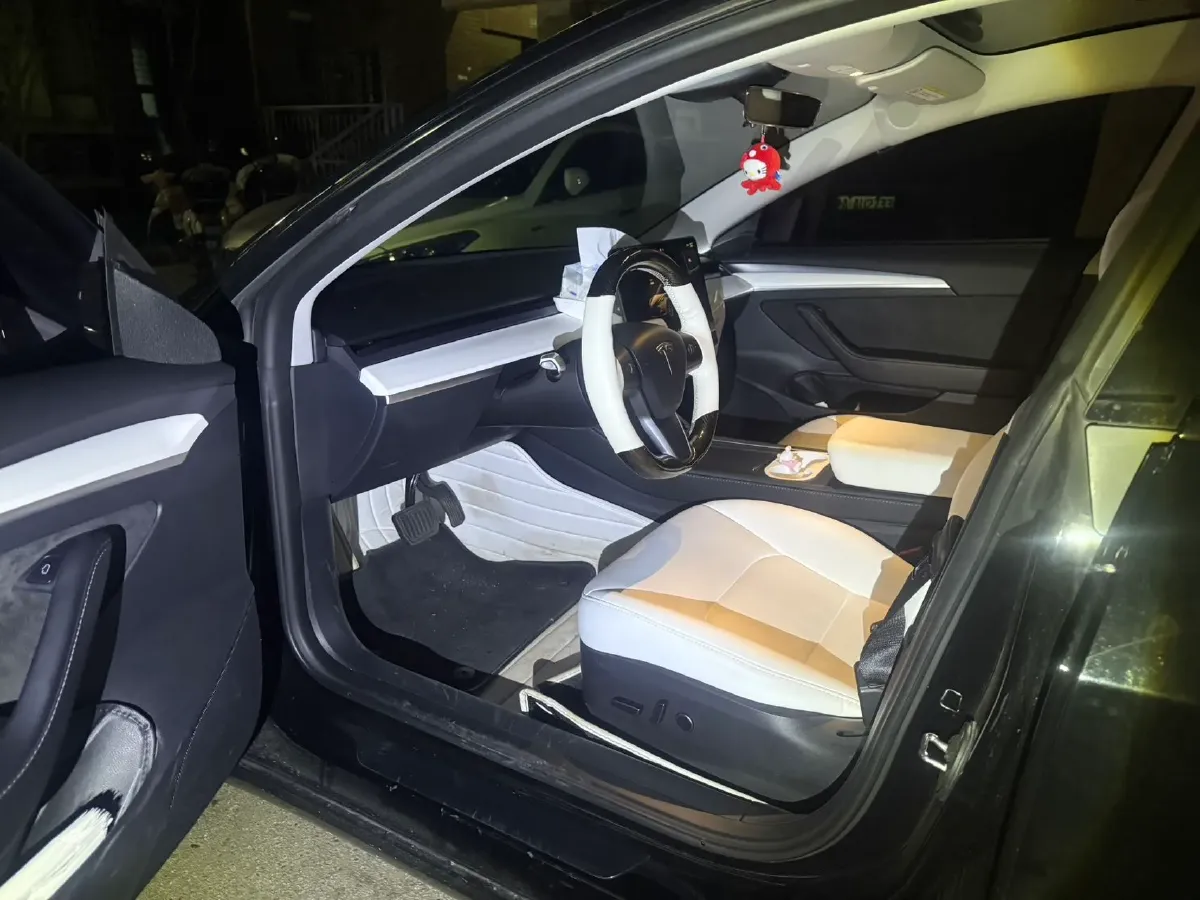2022 Tesla Model 3 BEV 60KWH,autocango,china used car exporter,china ev exporter,chinese used car exporter,chinese used ev exporter