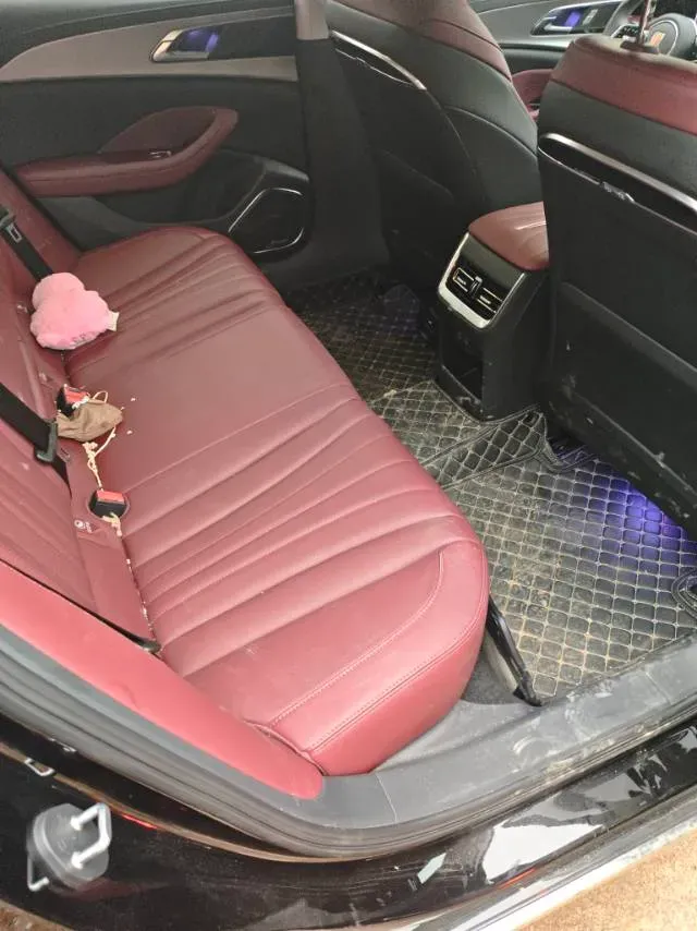 2023 HongQi H5 2.0T 224HP L4 8AT,autocango,china used car exporter,china ev exporter,chinese used car exporter,chinese used ev exporter