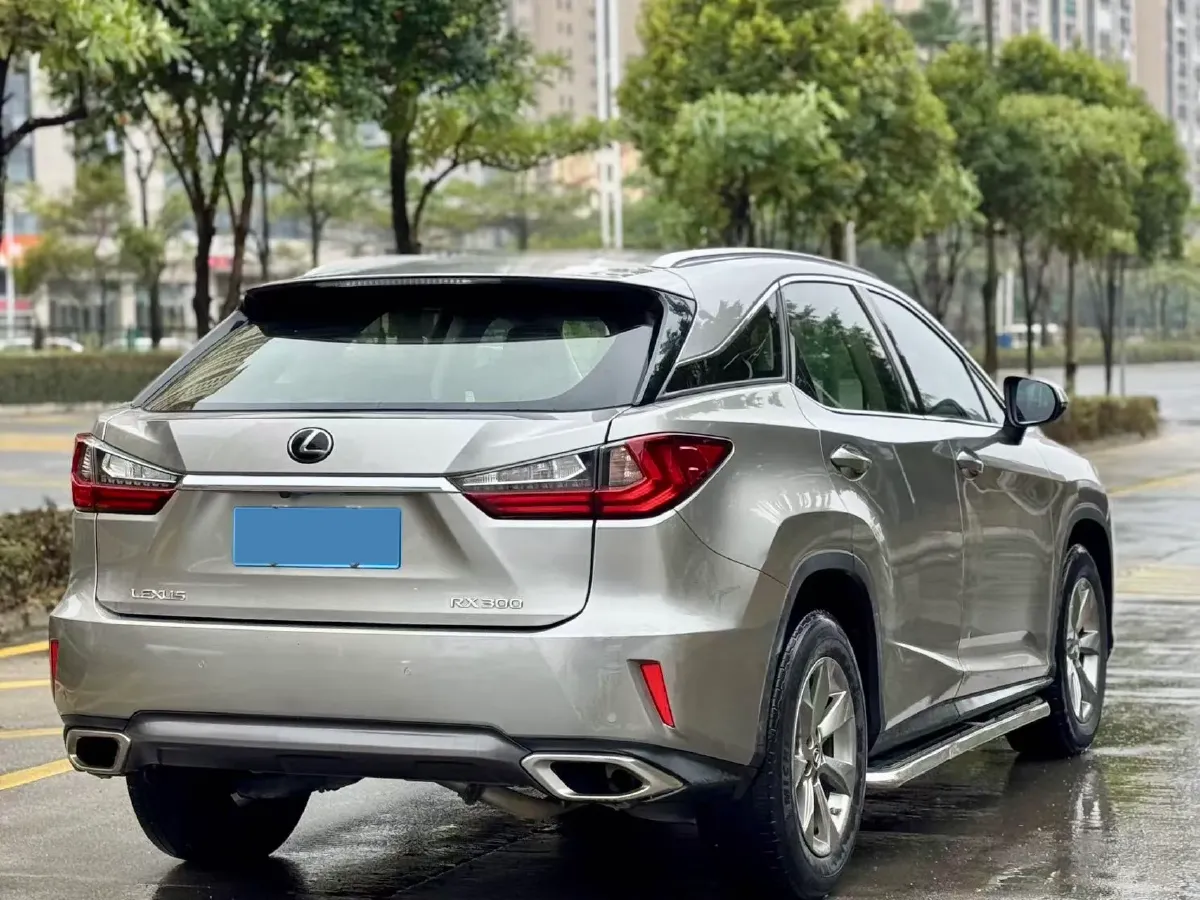 2020 Lexus RX 2.0T 238HP L4 6AT,autocango,china used car exporter,china ev exporter,chinese used car exporter,chinese used ev exporter