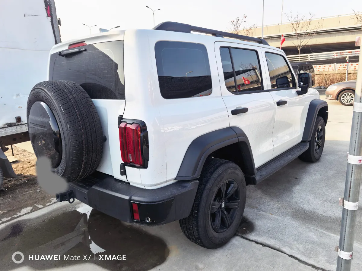 2024 Tank 300 2.0T 227HP L4 8AT,autocango,china used car exporter,china ev exporter,chinese used car exporter,chinese used ev exporter