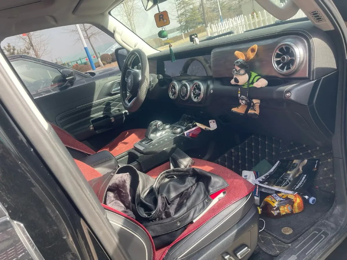 2021 Tank 300 2.0T 227HP L4 8AT,autocango,china used car exporter,china ev exporter,chinese used car exporter,chinese used ev exporter