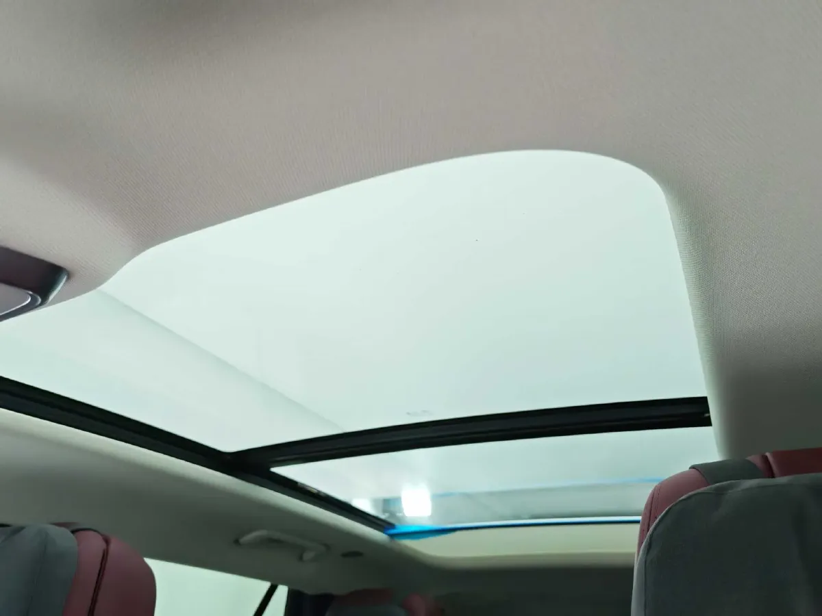 2022 HongQi E-HS9 BEV 120KWH,autocango,china used car exporter,china ev exporter,chinese used car exporter,chinese used ev exporter