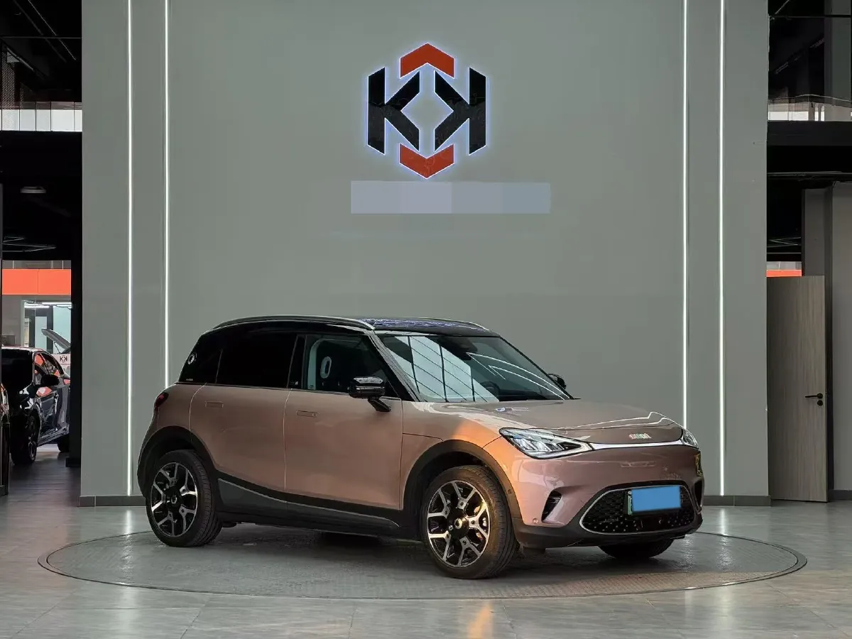 2022 Smart smart Elf 1 BEV 66KWH,autocango,china used car exporter,china ev exporter,chinese used car exporter,chinese used ev exporter