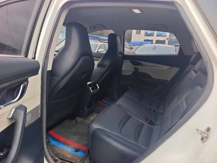 2019 Weltmeister EX5 BEV 52.56KWH,autocango,china used car exporter,china ev exporter,chinese used car exporter,chinese used ev exporter