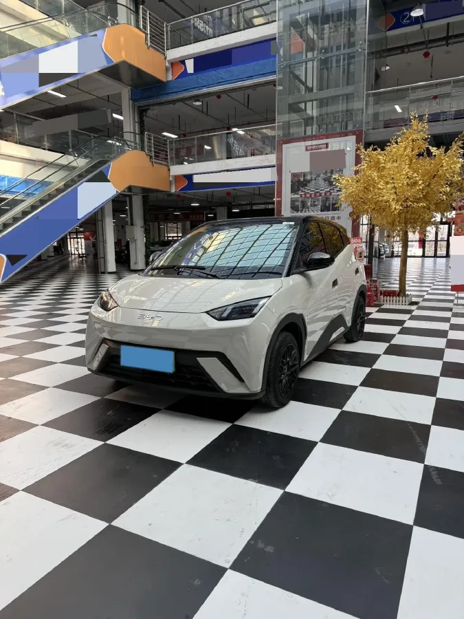 2024 BYD Seagull BEV 30.08KWH,autocango,china used car exporter,china ev exporter,chinese used car exporter,chinese used ev exporter