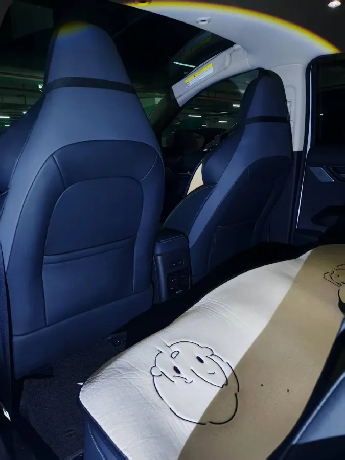 2020 Xpeng G3 BEV 66.5KWH,autocango,china used car exporter,china ev exporter,chinese used car exporter,chinese used ev exporter