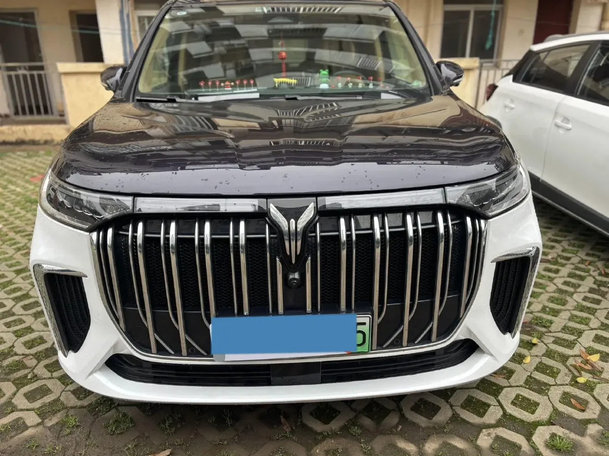 2024 Voyah Dream 1.5T 150HP L4 PHEV 43KWH,autocango,china used car exporter,china ev exporter,chinese used car exporter,chinese used ev exporter