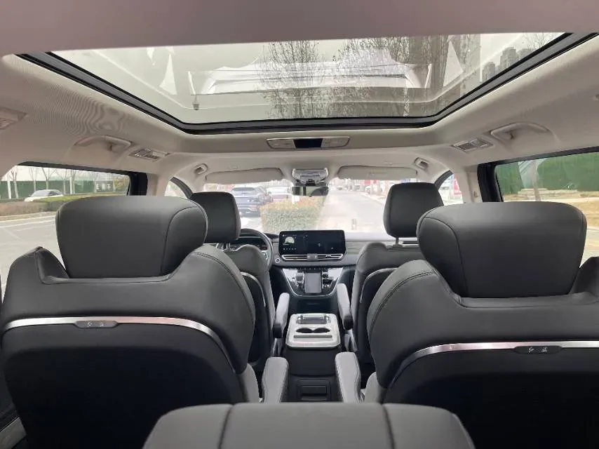 2024 HongQi HQ9 2.0T 163HP L4 1DHT PHEV 20.14KWH,autocango,china used car exporter,china ev exporter,chinese used car exporter,chinese used ev exporter