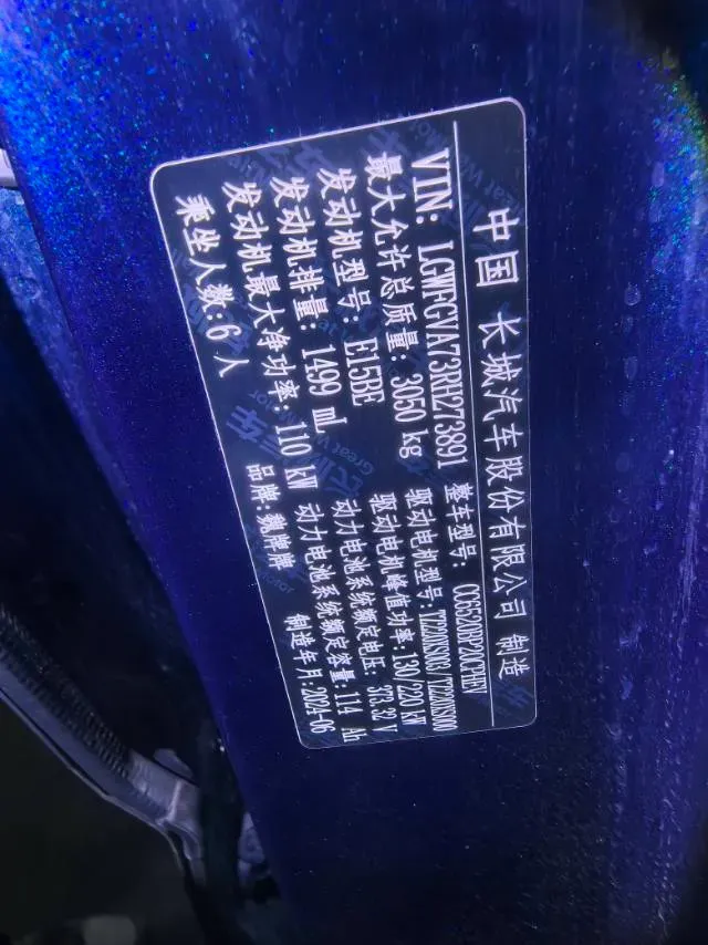 2023 WEY BlueMountain 1.5T 154HP L4 2DHT PHEV 44.5KWH,autocango,china used car exporter,china ev exporter,chinese used car exporter,chinese used ev exporter