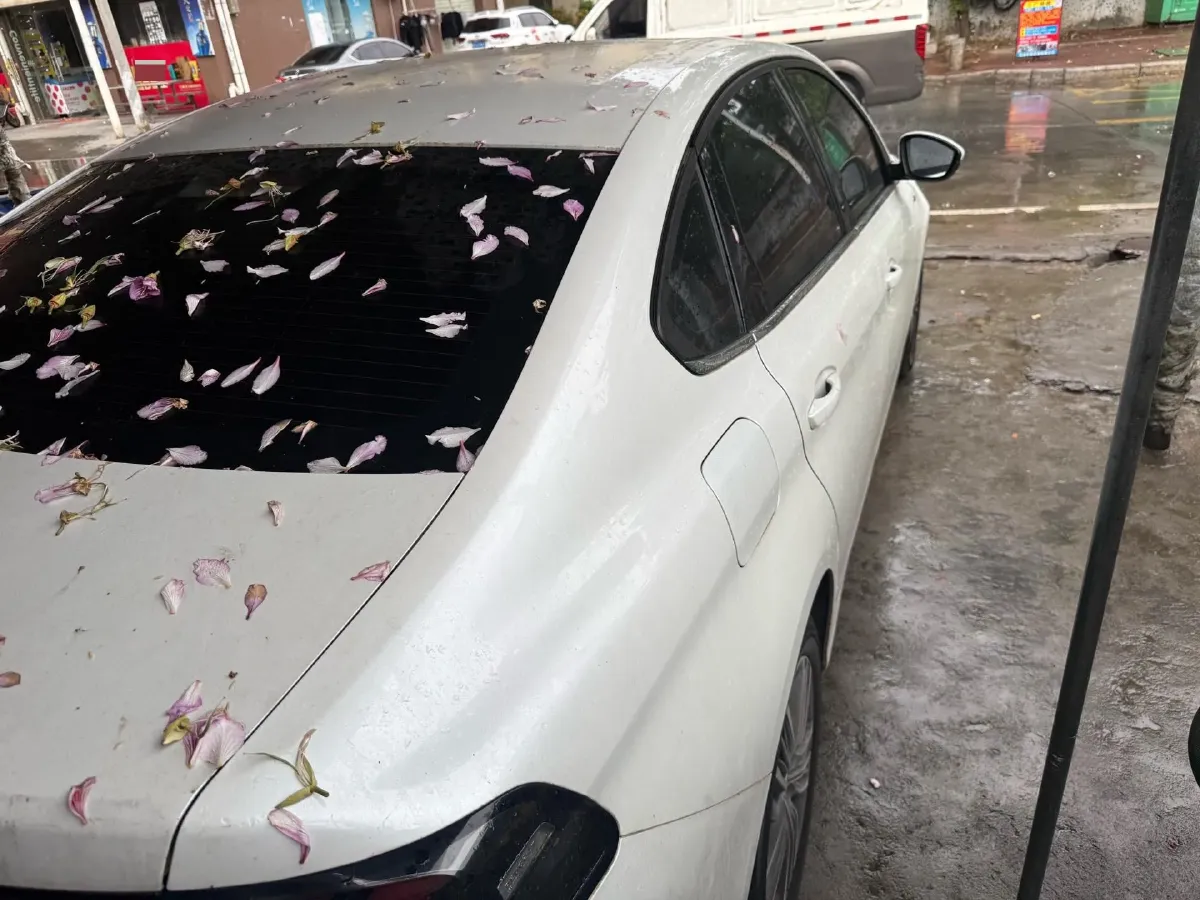 2018 Peugeot 308 1.2T 136HP L3 6AT,autocango,china used car exporter,china ev exporter,chinese used car exporter,chinese used ev exporter