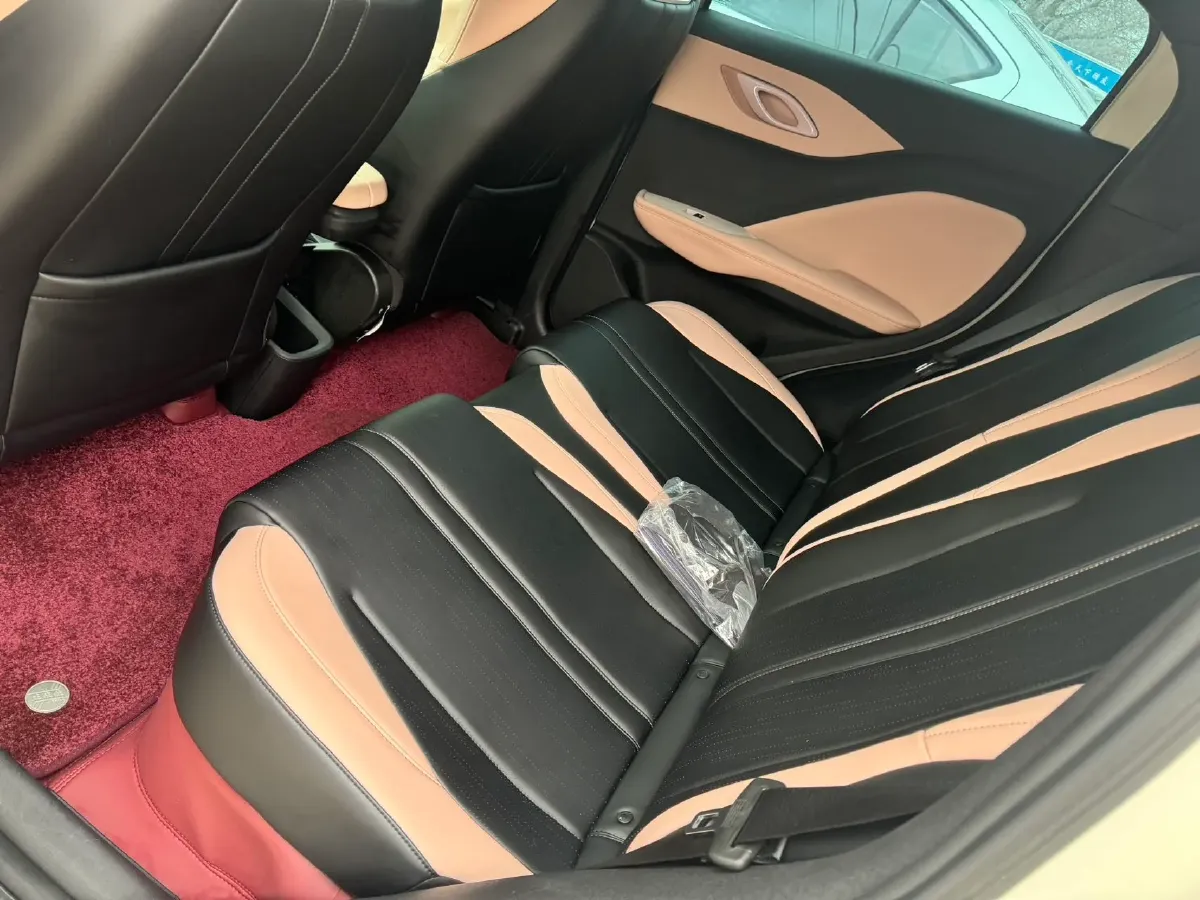 2025 BYD Seagull BEV 30.08KWH,autocango,china used car exporter,china ev exporter,chinese used car exporter,chinese used ev exporter