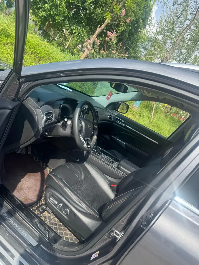 2020 GAC Trumpchi GS8 2.0T 252HP L4 6AT,autocango,china used car exporter,china ev exporter,chinese used car exporter,chinese used ev exporter