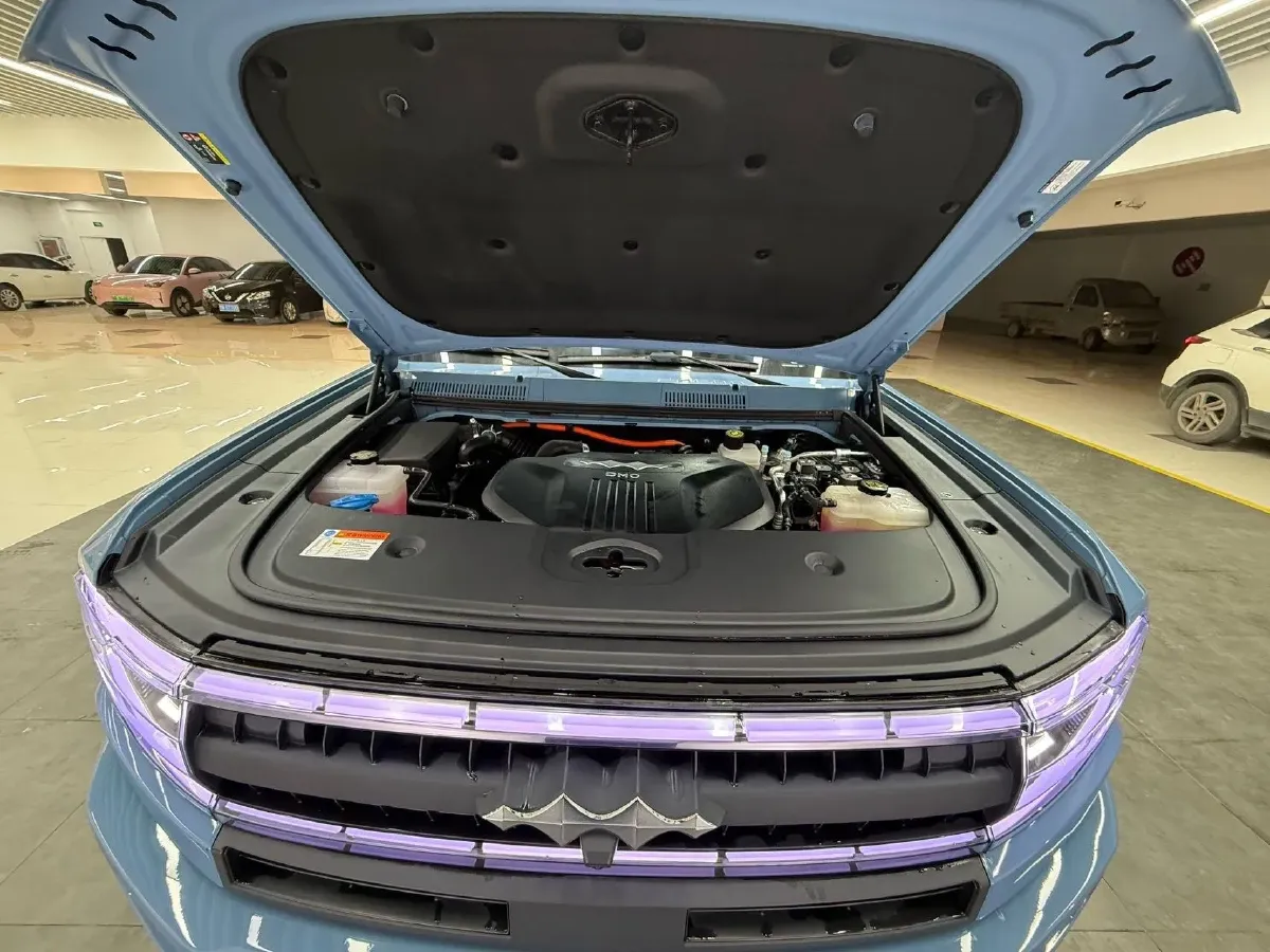 2025 FangChengBao Bao 5 1.5T 194HP L4 E-CVT PHEV 31.8KWH,autocango,china used car exporter,china ev exporter,chinese used car exporter,chinese used ev exporter