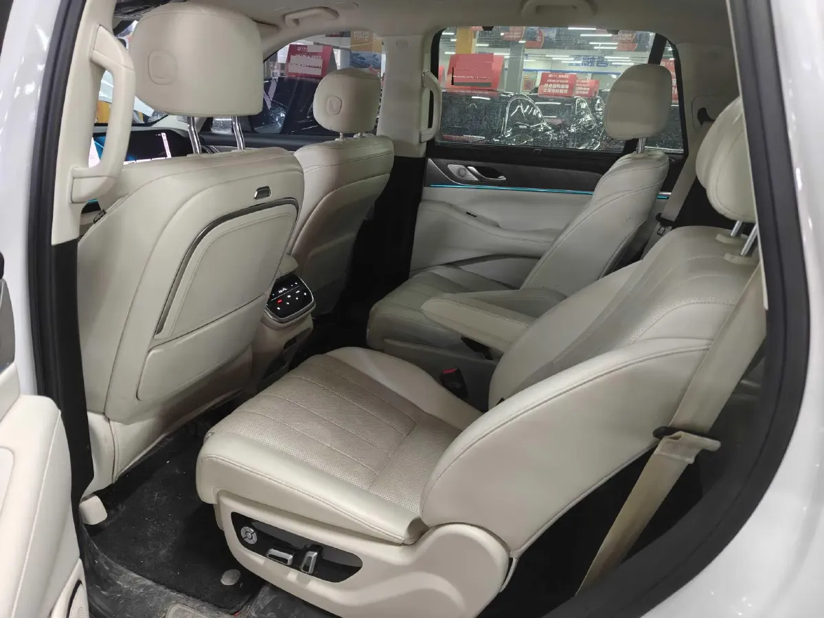 2023 WEY BlueMountain 1.5T 154HP L4 2DHT PHEV 44.5KWH,autocango,china used car exporter,china ev exporter,chinese used car exporter,chinese used ev exporter