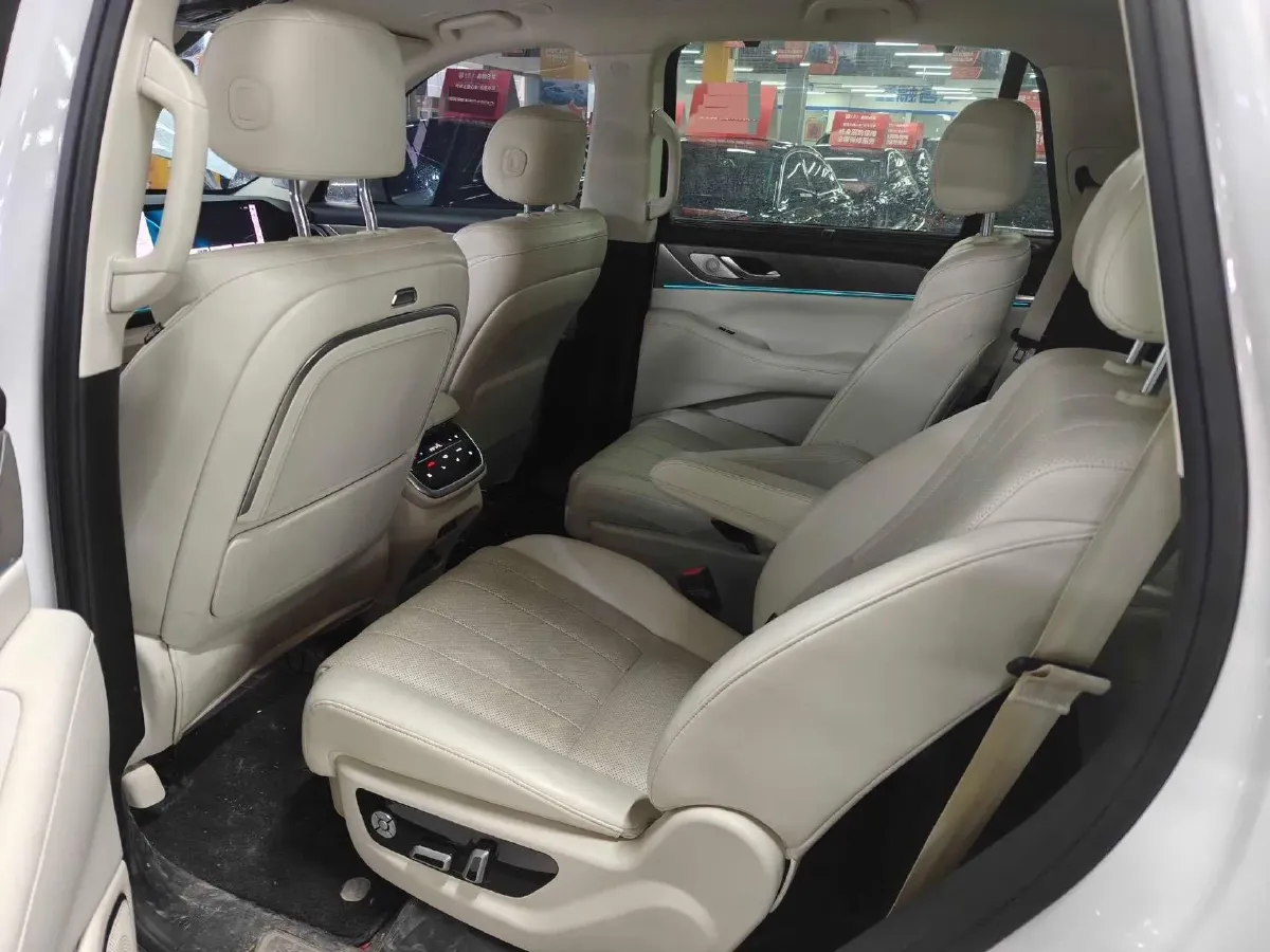 2023 WEY BlueMountain 1.5T 154HP L4 2DHT PHEV 44.5KWH,autocango,china used car exporter,china ev exporter,chinese used car exporter,chinese used ev exporter