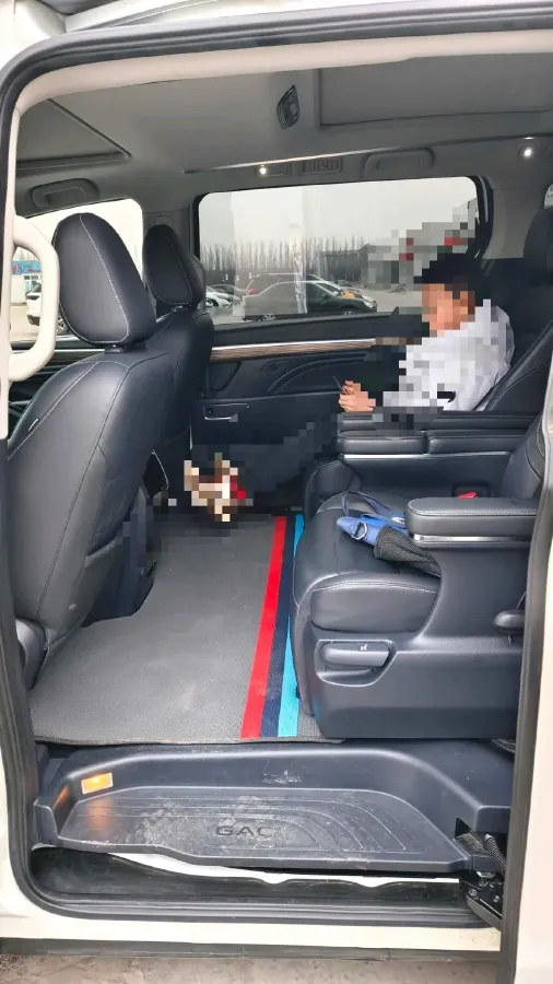 2021 GAC Trumpchi M8 2.0T 252HP L4 8AT,autocango,china used car exporter,china ev exporter,chinese used car exporter,chinese used ev exporter