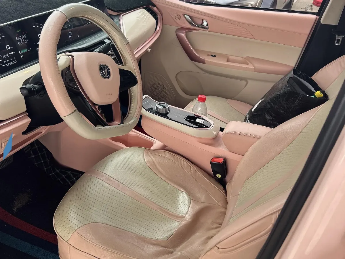 2022 ChangAn BenBen E-Star BEV 31.95KWH,autocango,china used car exporter,china ev exporter,chinese used car exporter,chinese used ev exporter