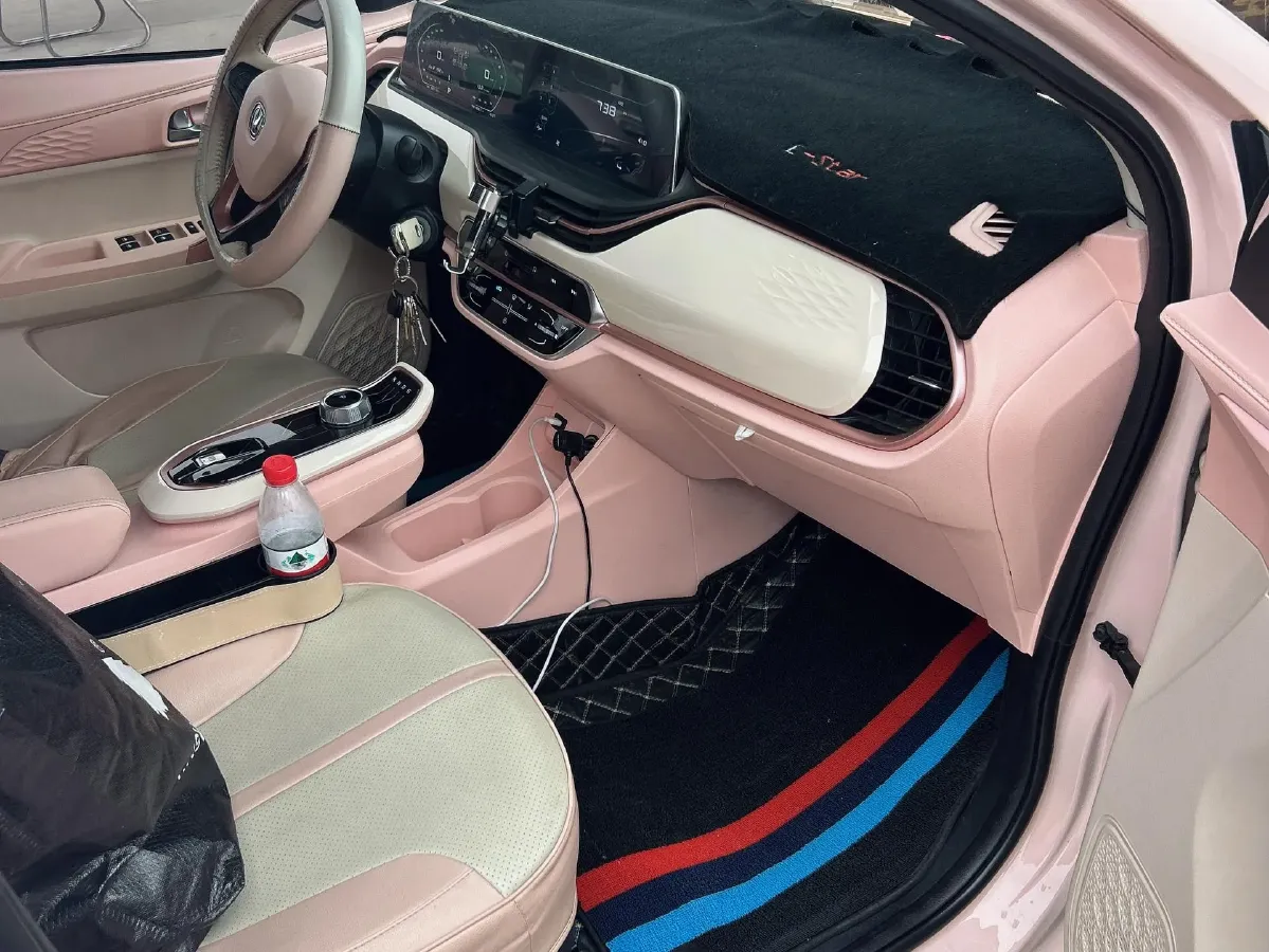 2022 ChangAn BenBen E-Star BEV 31.95KWH,autocango,china used car exporter,china ev exporter,chinese used car exporter,chinese used ev exporter