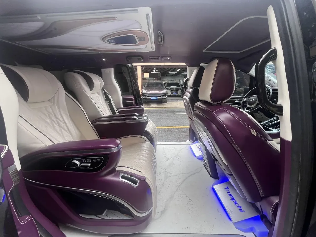 2021 GAC Trumpchi M8 2.0T 252HP L4 8AT,autocango,china used car exporter,china ev exporter,chinese used car exporter,chinese used ev exporter