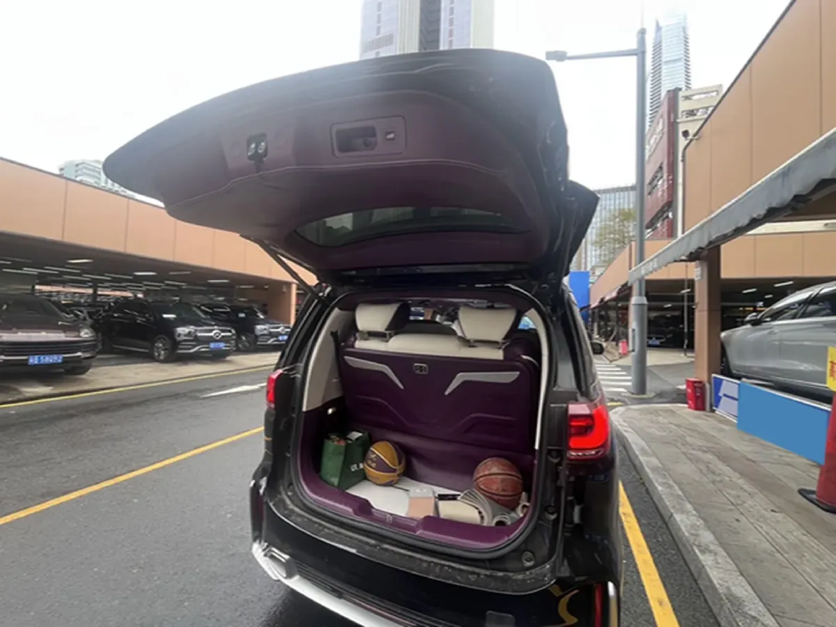 2021 GAC Trumpchi M8 2.0T 252HP L4 8AT,autocango,china used car exporter,china ev exporter,chinese used car exporter,chinese used ev exporter