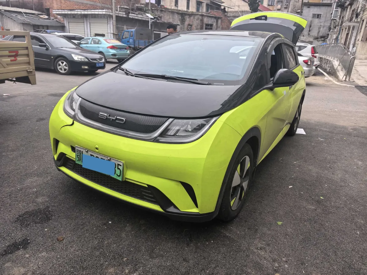 2023 BYD Dolphin BEV 44.928KWH,autocango,china used car exporter,china ev exporter,chinese used car exporter,chinese used ev exporter