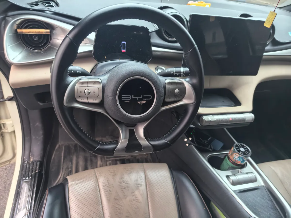 2023 BYD Dolphin BEV 44.928KWH,autocango,china used car exporter,china ev exporter,chinese used car exporter,chinese used ev exporter