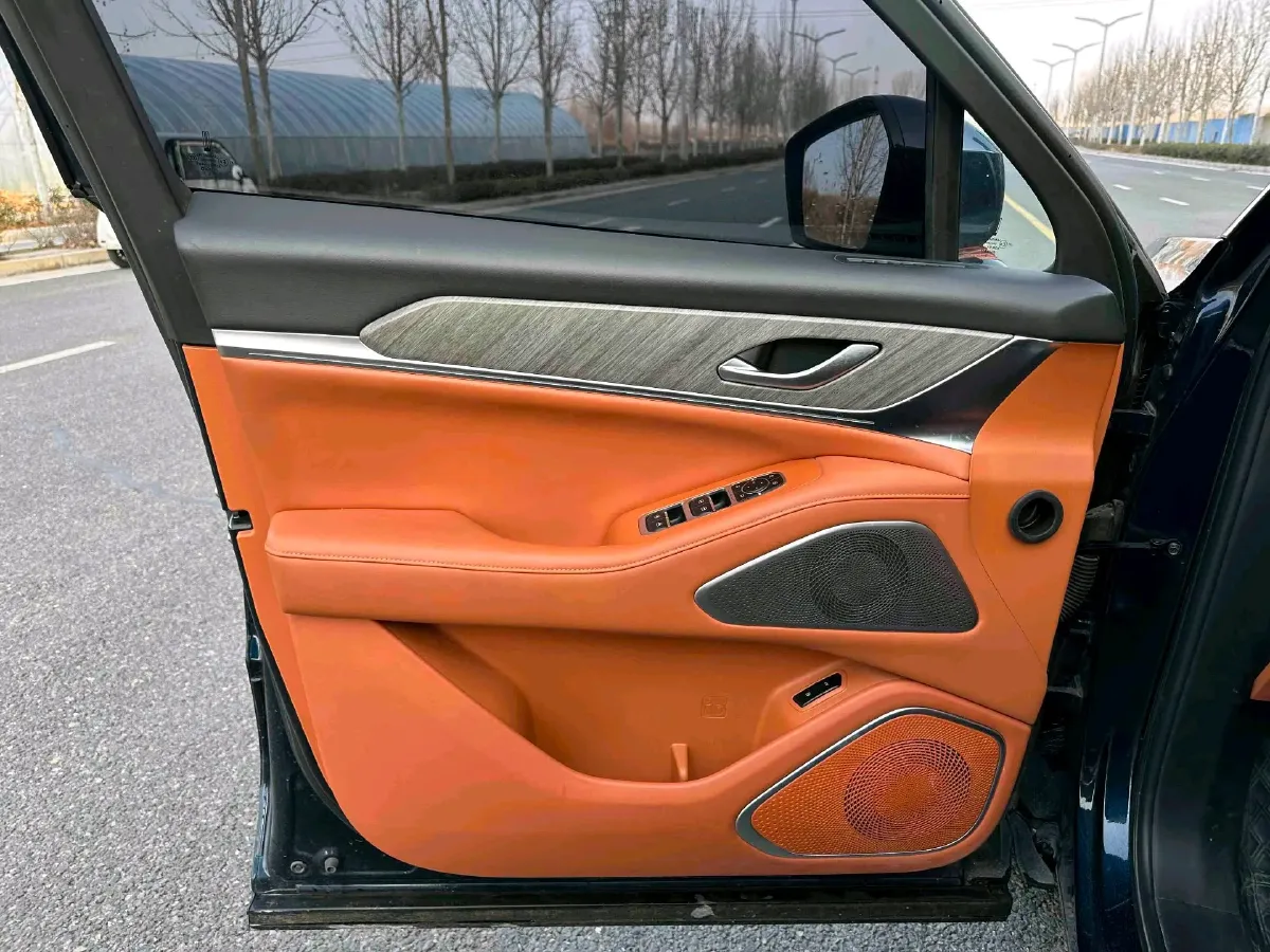 2023 WEY BlueMountain 1.5T 154HP L4 2DHT PHEV 36.65KWH,autocango,china used car exporter,china ev exporter,chinese used car exporter,chinese used ev exporter