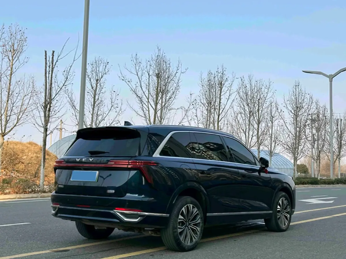 2023 WEY BlueMountain 1.5T 154HP L4 2DHT PHEV 36.65KWH,autocango,china used car exporter,china ev exporter,chinese used car exporter,chinese used ev exporter