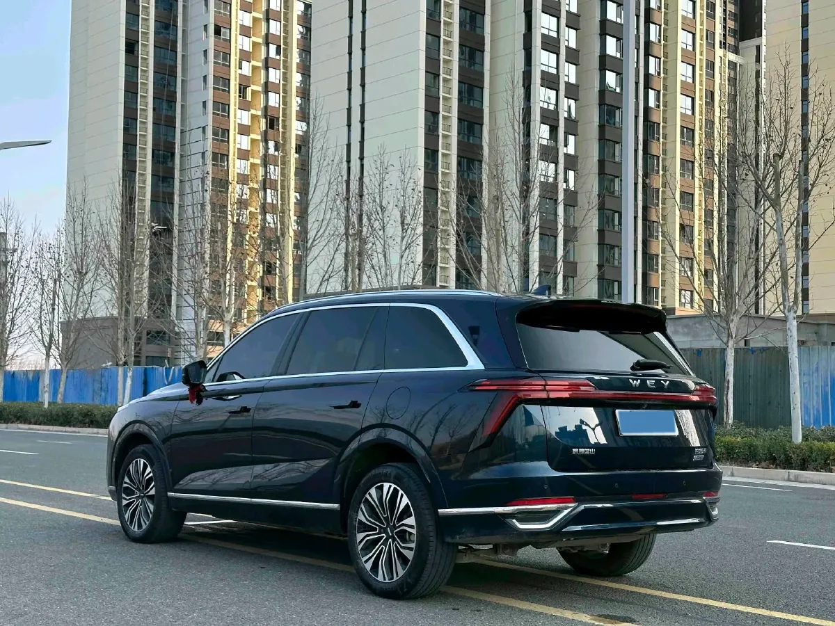2023 WEY BlueMountain 1.5T 154HP L4 2DHT PHEV 36.65KWH,autocango,china used car exporter,china ev exporter,chinese used car exporter,chinese used ev exporter