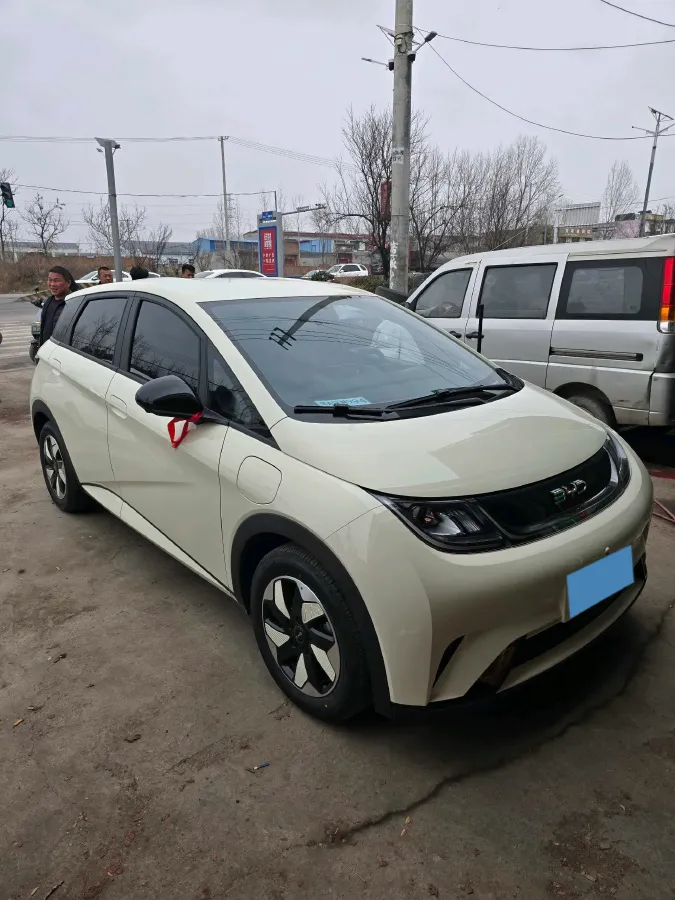 2025 BYD Dolphin BEV 44.928KWH,autocango,china used car exporter,china ev exporter,chinese used car exporter,chinese used ev exporter
