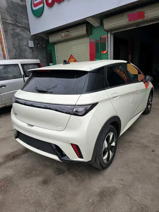 2025 BYD Dolphin BEV 44.928KWH,autocango,china used car exporter,china ev exporter,chinese used car exporter,chinese used ev exporter