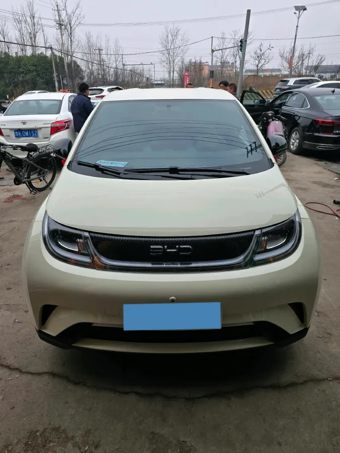 2025 BYD Dolphin BEV 44.928KWH,autocango,china used car exporter,china ev exporter,chinese used car exporter,chinese used ev exporter