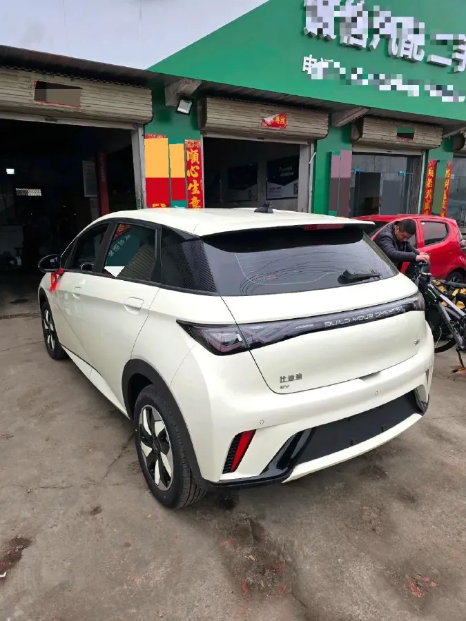 2025 BYD Dolphin BEV 44.928KWH,autocango,china used car exporter,china ev exporter,chinese used car exporter,chinese used ev exporter