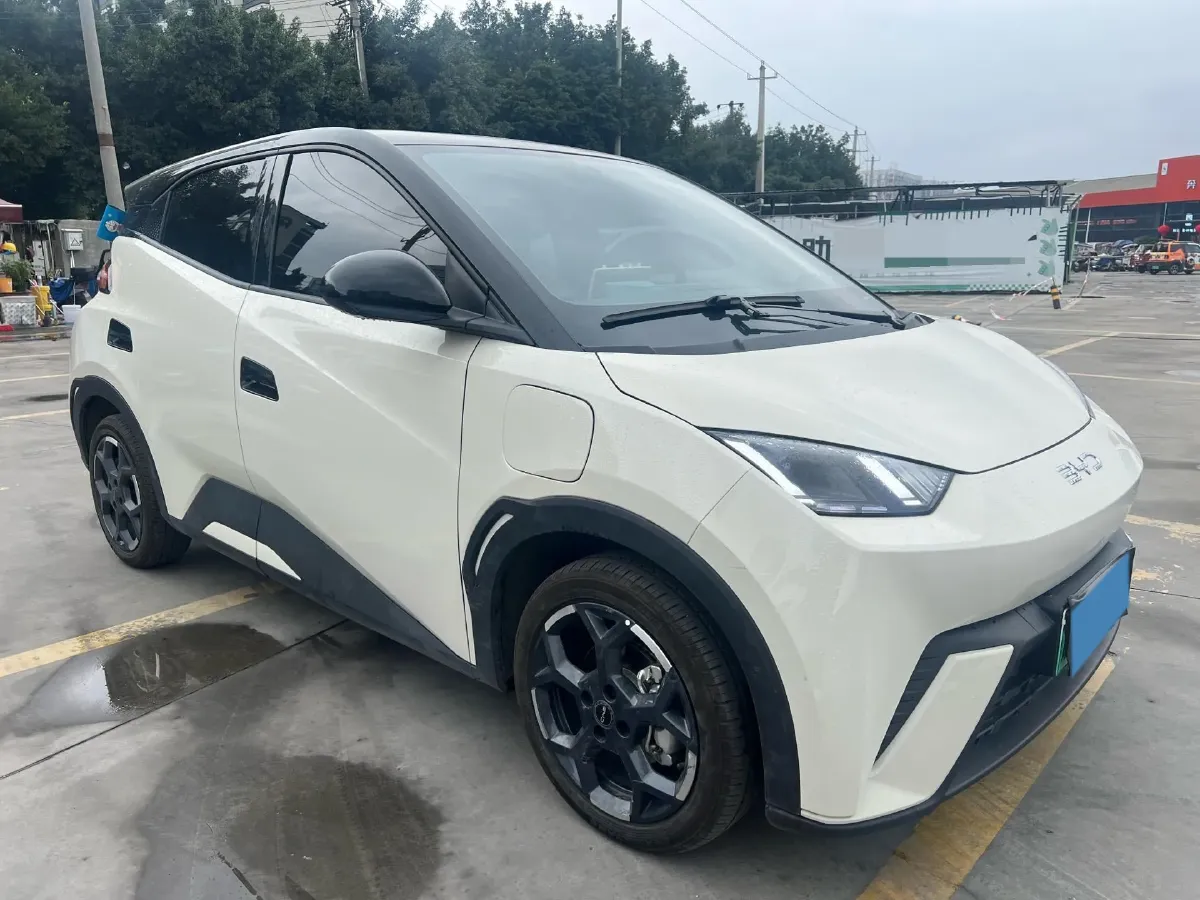 2024 BYD Seagull BEV 30.08KWH,autocango,china used car exporter,china ev exporter,chinese used car exporter,chinese used ev exporter