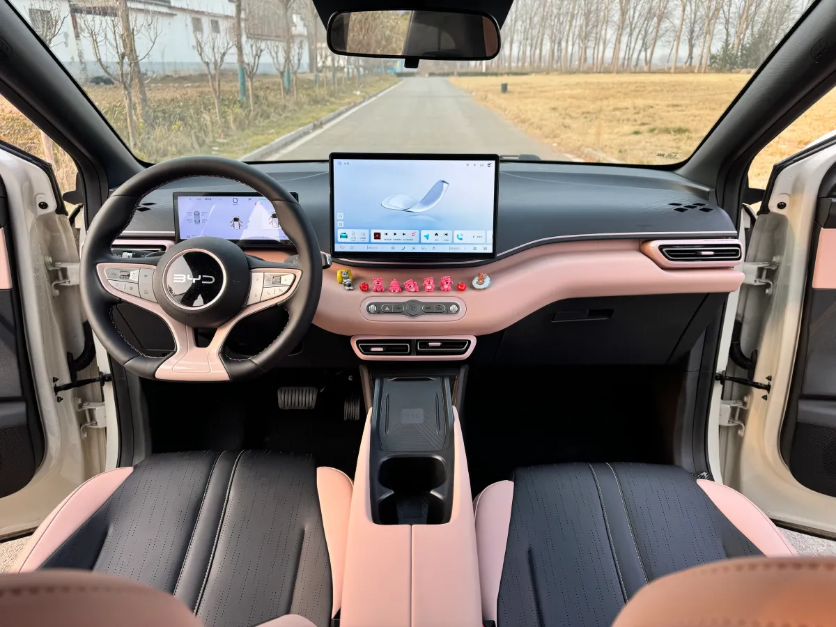 2025 BYD Seagull BEV 30.08KWH,autocango,china used car exporter,china ev exporter,chinese used car exporter,chinese used ev exporter