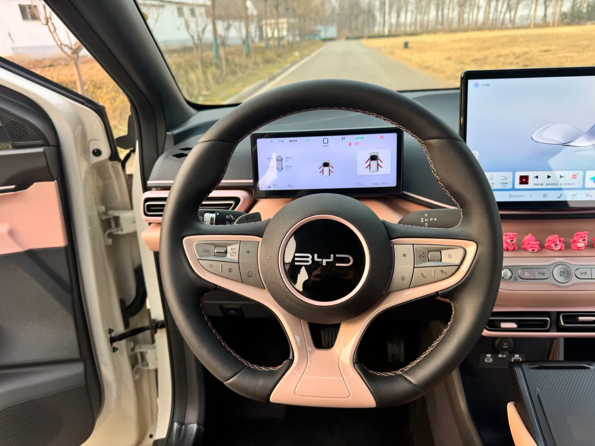 2025 BYD Seagull BEV 30.08KWH,autocango,china used car exporter,china ev exporter,chinese used car exporter,chinese used ev exporter