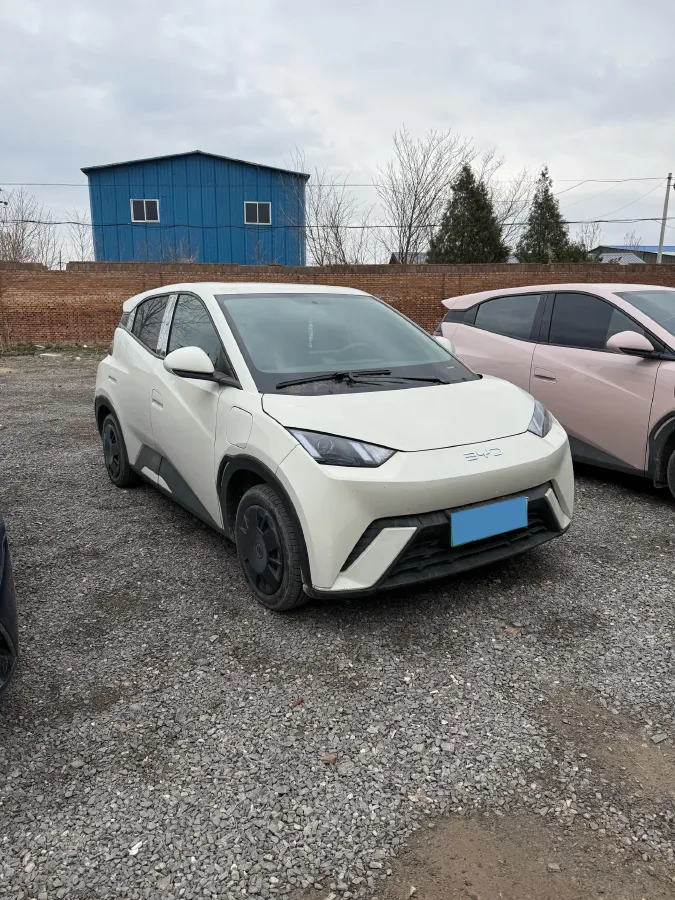 2023 BYD Seagull BEV 30.08KWH,autocango,china used car exporter,china ev exporter,chinese used car exporter,chinese used ev exporter