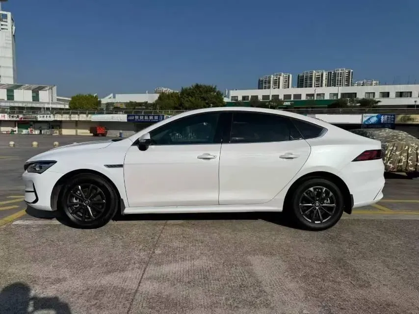 2021 BYD Qin BEV 53.56KWH,autocango,china used car exporter,china ev exporter,chinese used car exporter,chinese used ev exporter