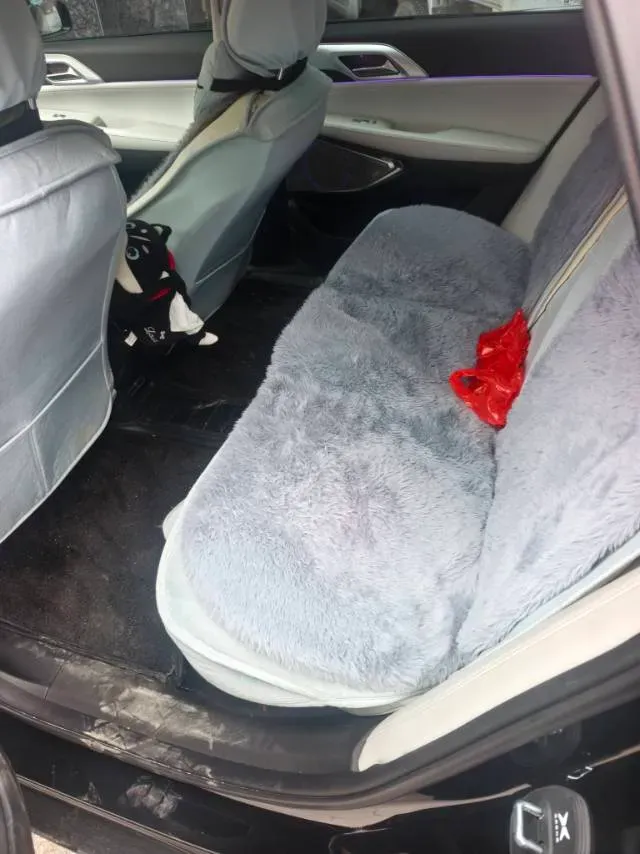 2024 Xpeng P5 BEV 55.4KWH,autocango,china used car exporter,china ev exporter,chinese used car exporter,chinese used ev exporter