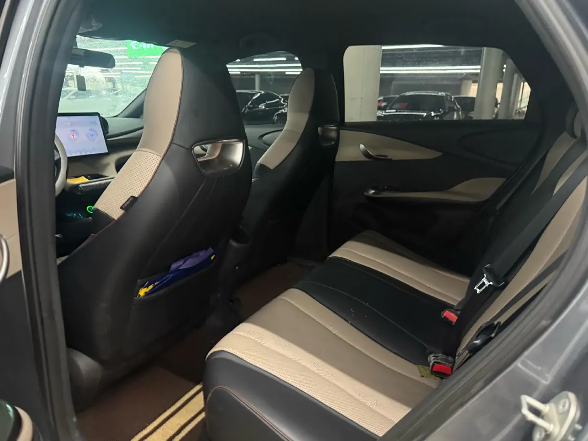 2023 BYD Dolphin BEV 44.928KWH,autocango,china used car exporter,china ev exporter,chinese used car exporter,chinese used ev exporter