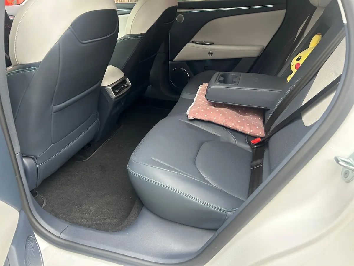 2025 MAXUS G10 2.0T 261HP L4 8AT,autocango,china used car exporter,china ev exporter,chinese used car exporter,chinese used ev exporter