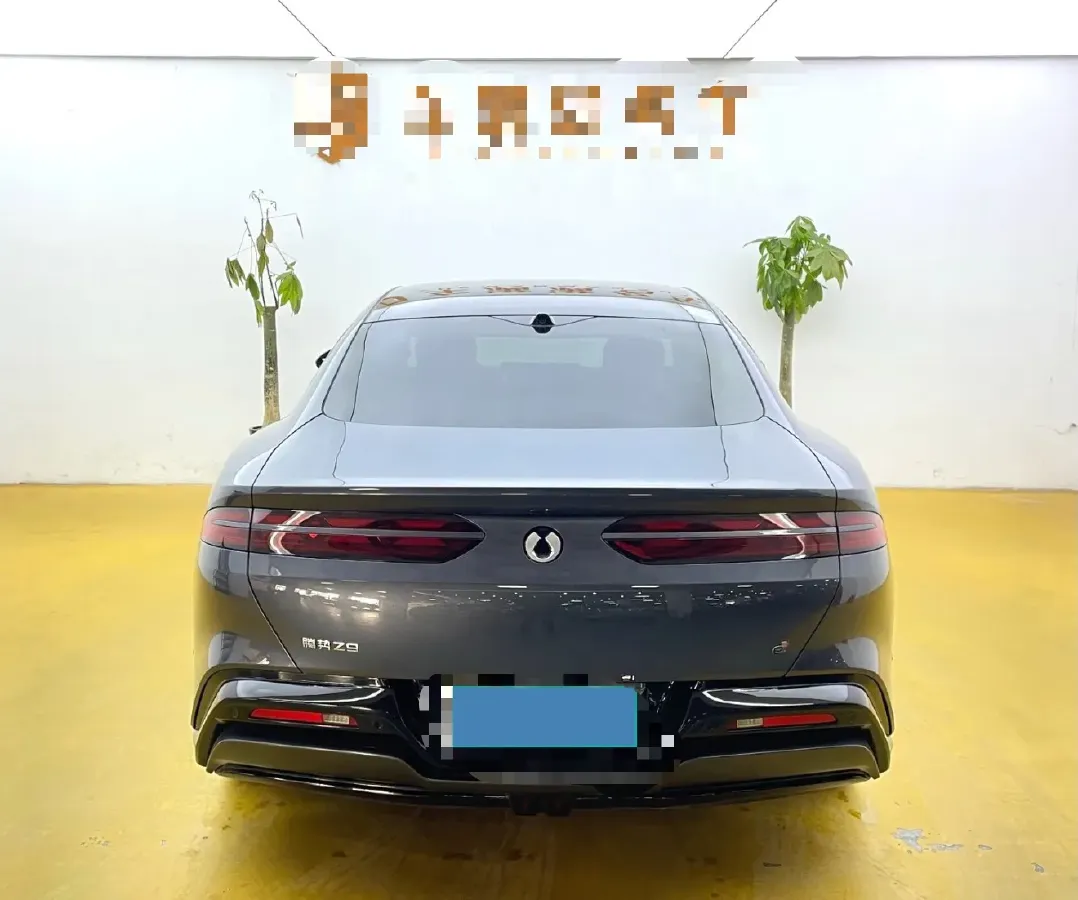 2024 Denza DenzaZ9 2.0T 207HP L4 E-CVT PHEV 38.5KWH,autocango,china used car exporter,china ev exporter,chinese used car exporter,chinese used ev exporter