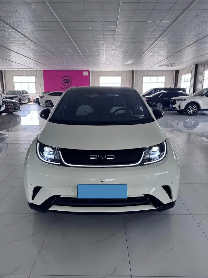 2023 BYD Dolphin BEV 44.928KWH,autocango,china used car exporter,china ev exporter,chinese used car exporter,chinese used ev exporter