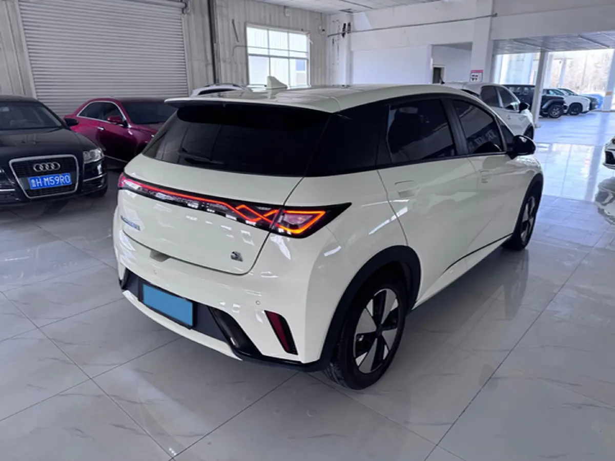 2023 BYD Dolphin BEV 44.928KWH,autocango,china used car exporter,china ev exporter,chinese used car exporter,chinese used ev exporter