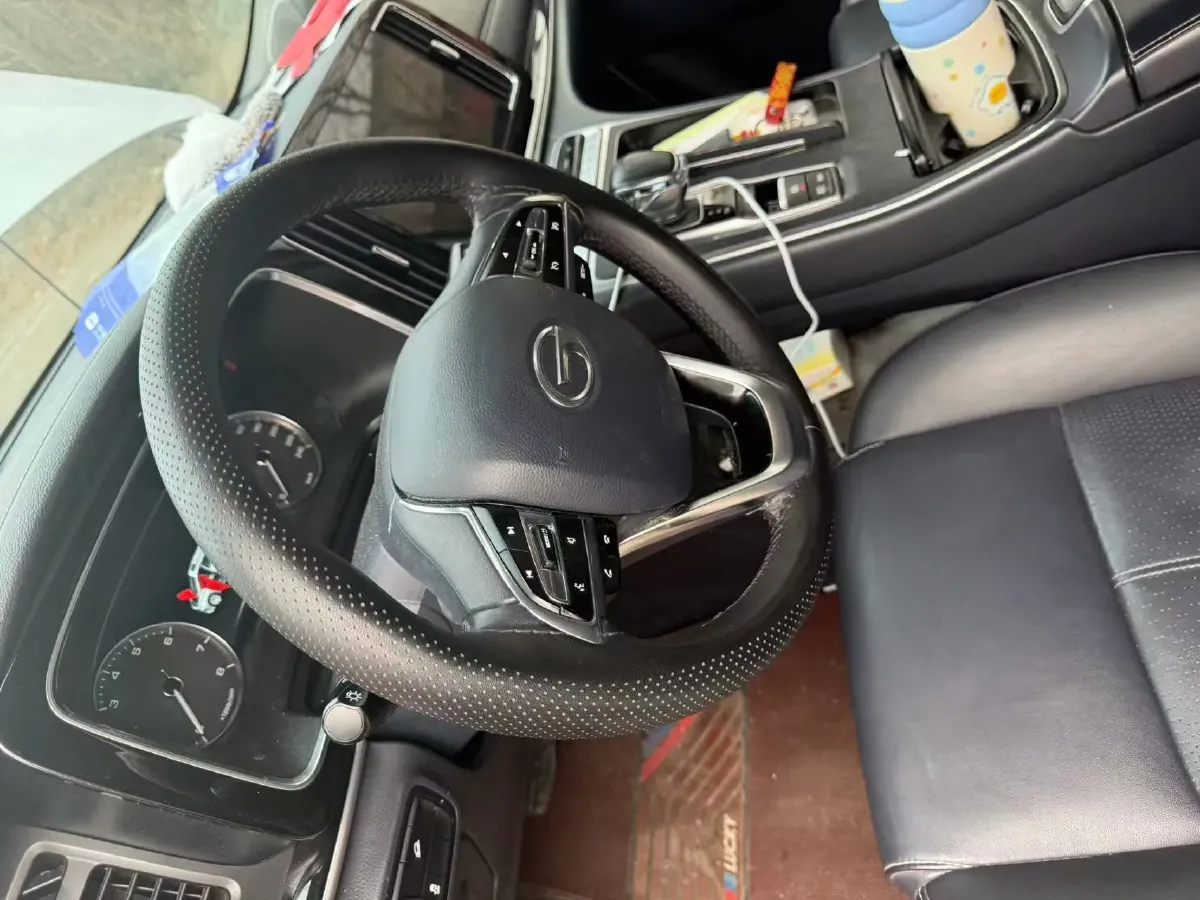 2023 GAC Trumpchi M8 2.0T 252HP L4 8AT,autocango,china used car exporter,china ev exporter,chinese used car exporter,chinese used ev exporter