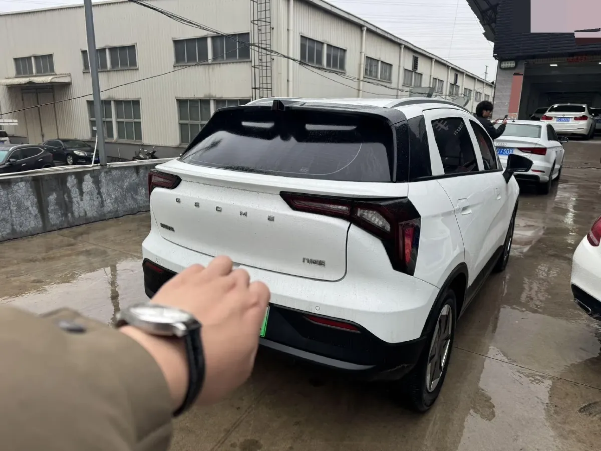 2024 Geometry E BEV 29.67KWH,autocango,china used car exporter,china ev exporter,chinese used car exporter,chinese used ev exporter