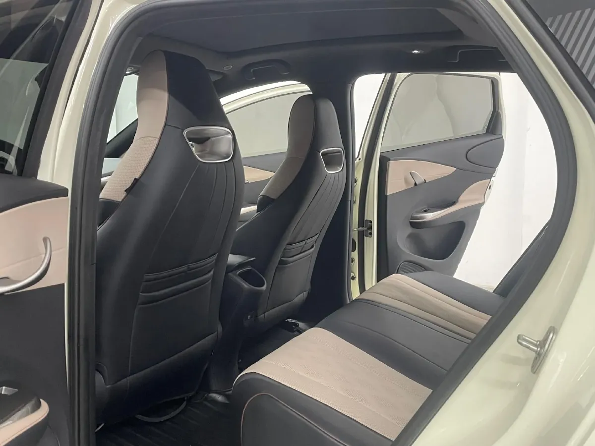 2023 BYD Dolphin BEV 44.928KWH,autocango,china used car exporter,china ev exporter,chinese used car exporter,chinese used ev exporter