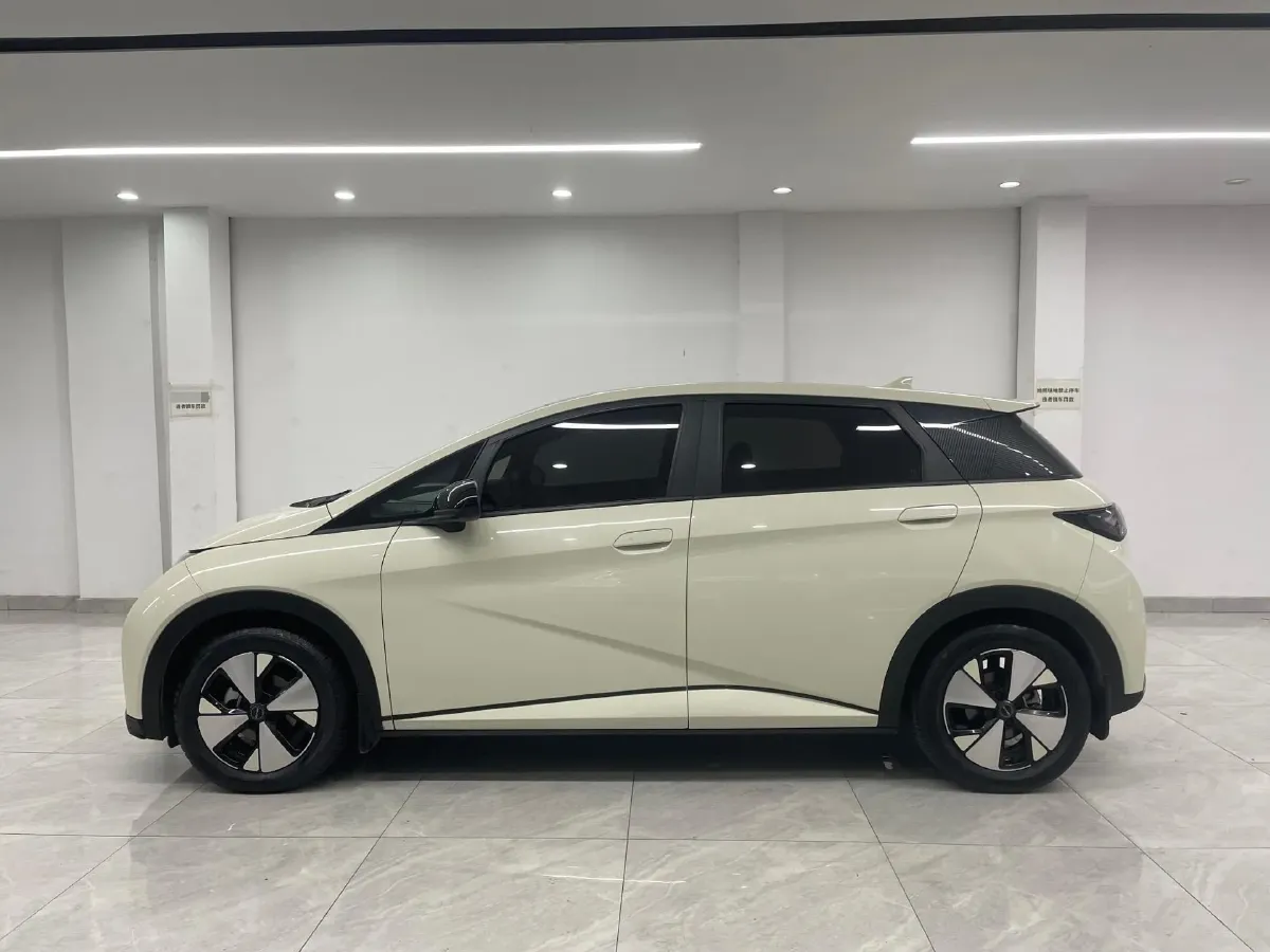 2023 BYD Dolphin BEV 44.928KWH,autocango,china used car exporter,china ev exporter,chinese used car exporter,chinese used ev exporter
